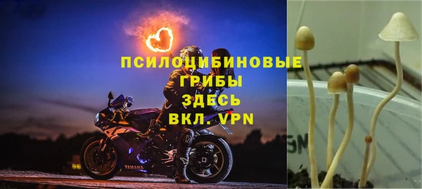 гашишное масло Алзамай