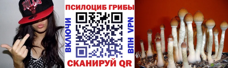 Галлюциногенные грибы мухоморы Омутнинск
